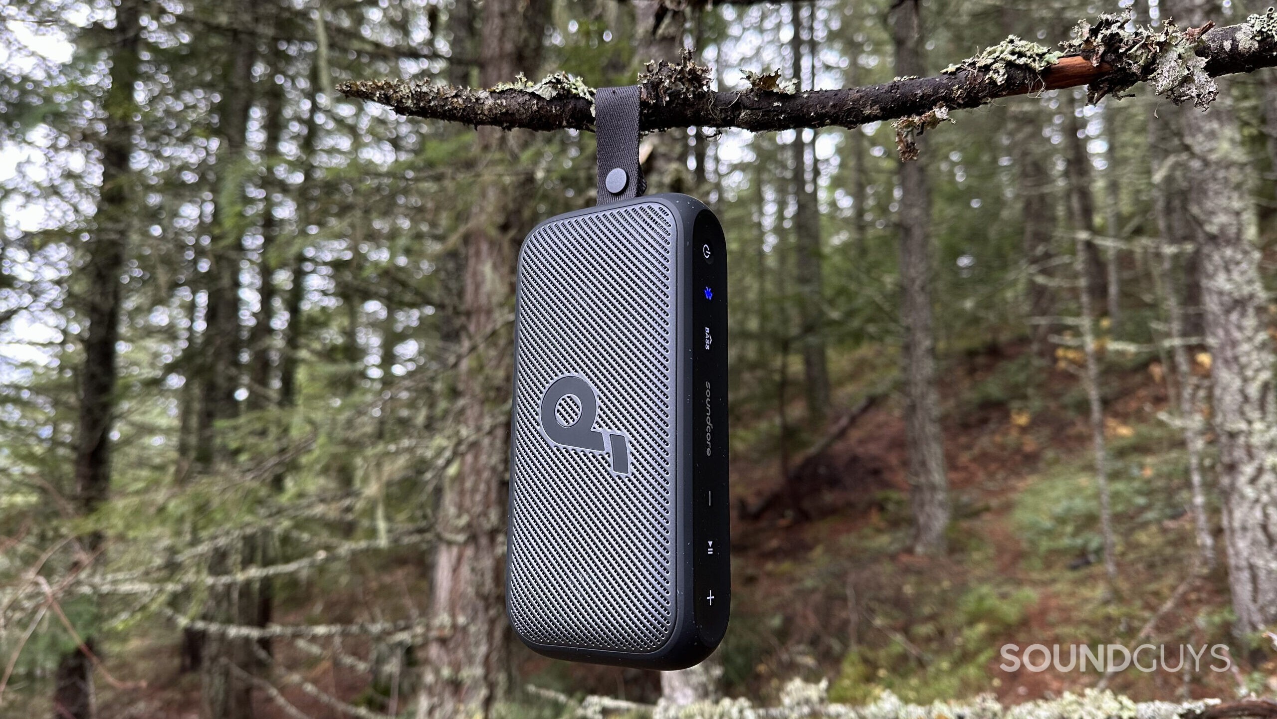 Anker Soundcore Motion 300 tree hang The Anker Soundcore Motion 300 hanging from a tree branch.